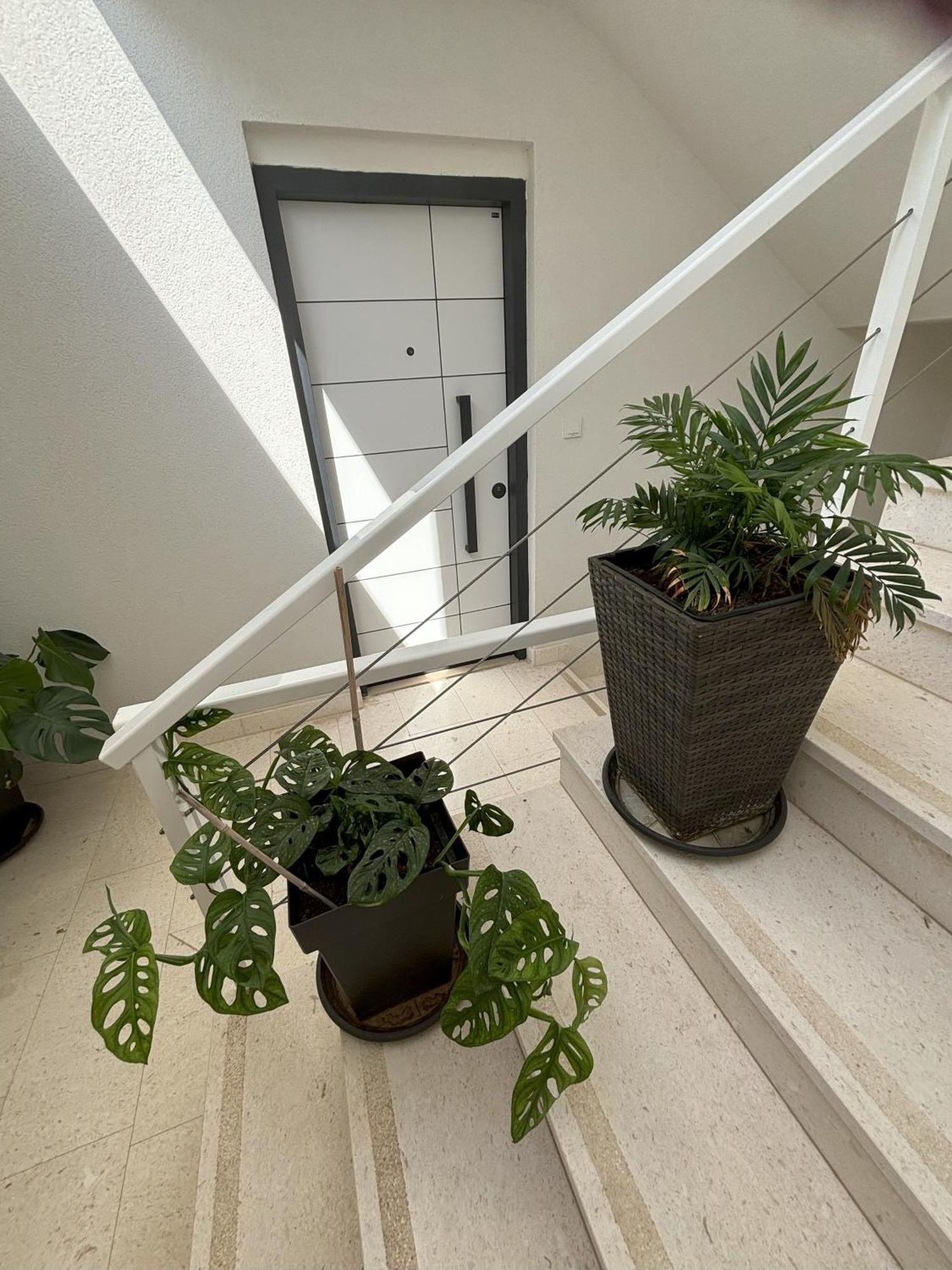 Vila Regina Apartment Paloma With Swimming Pool เยเซรา ภายนอก รูปภาพ