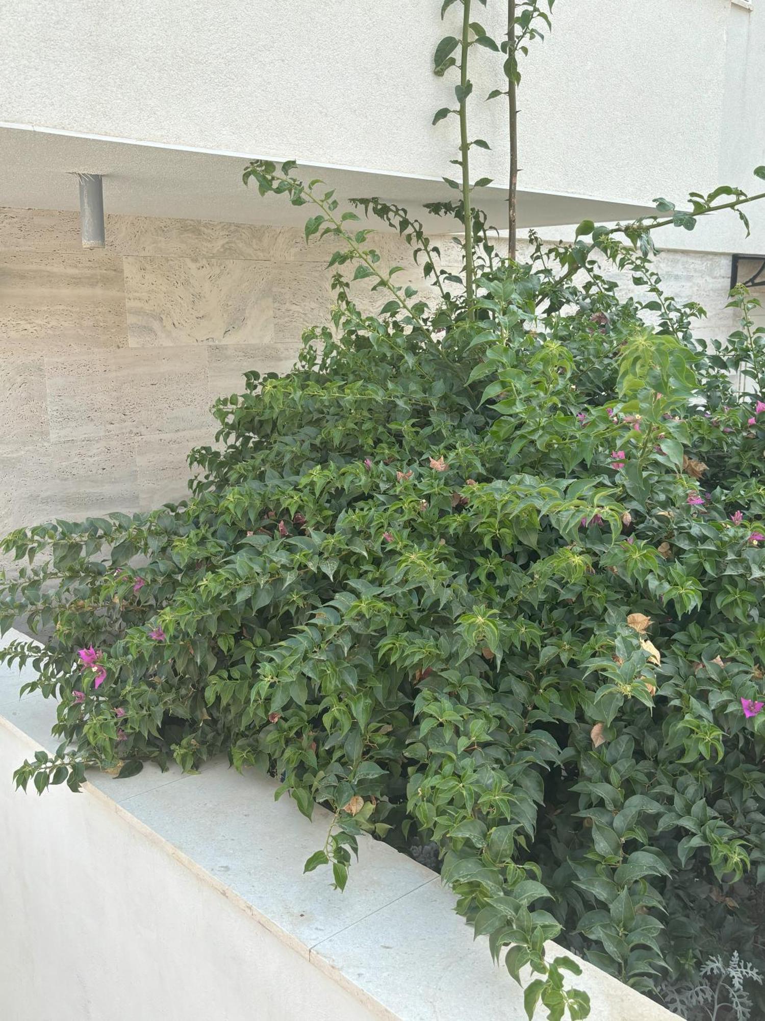 Vila Regina Apartment Paloma With Swimming Pool เยเซรา ภายนอก รูปภาพ